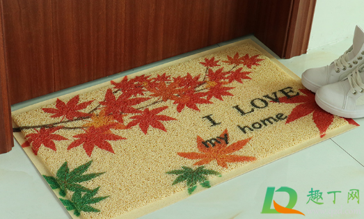 入户地垫丝圈还是皮革好(入户地垫用丝圈的还是地毯的) 入户地垫丝圈还是皮革好(入户地垫用丝圈的还是地毯的)