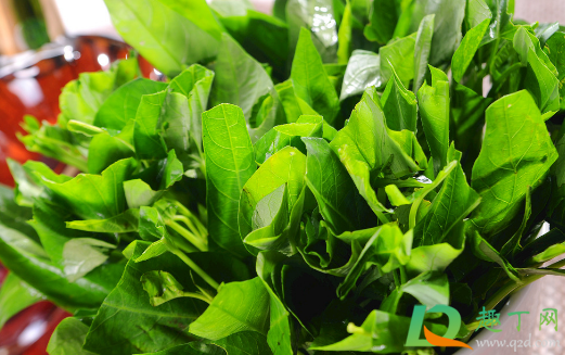 空心菜是贴地剪吗(空心菜可以割茬吗)