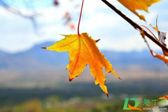 2020年秋天会冷吗(今年冬天会冷吗2020年)