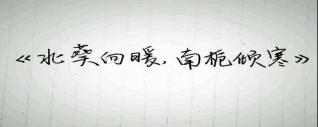 南栀倾寒是什么意思(南栀倾寒怎么读)