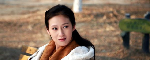 赵斯文紫月的电视剧介绍(电视剧赵斯文是哪部电视剧)