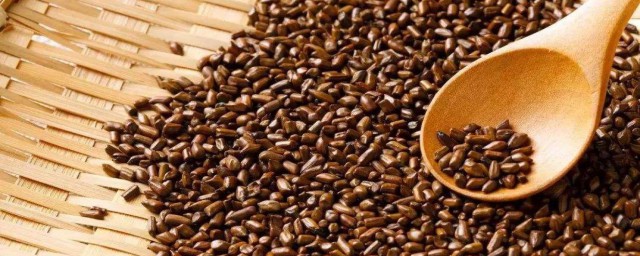 决明子茶的功效与作用简述(决明子茶的作用和功效与作用)