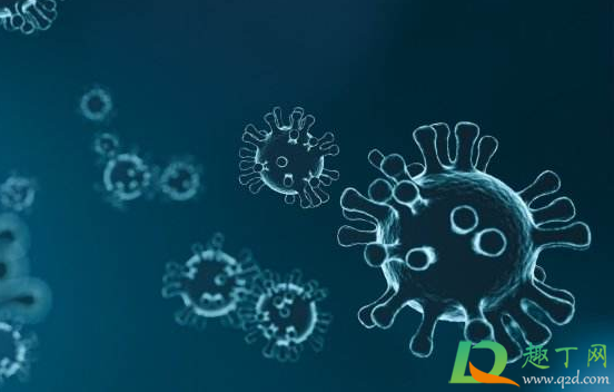 新冠病毒中和抗体能维持半年以上是真的吗(有没有人对新冠病毒有抗体)