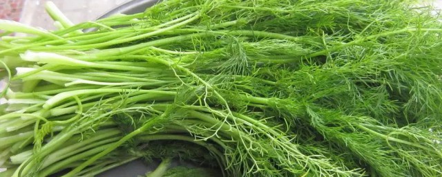 使用禁忌有哪些(禁用忌用区别)