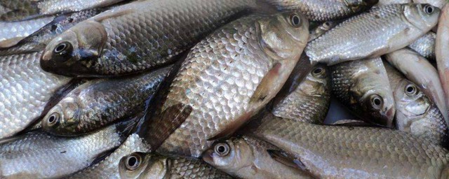 选择鱼线需要考虑什么因素(关于鱼线的知识)