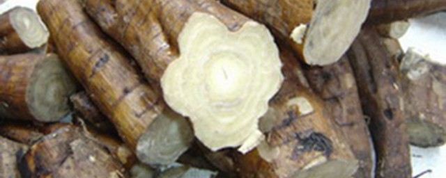 葛根的吃法(葛根的吃法大全图片)