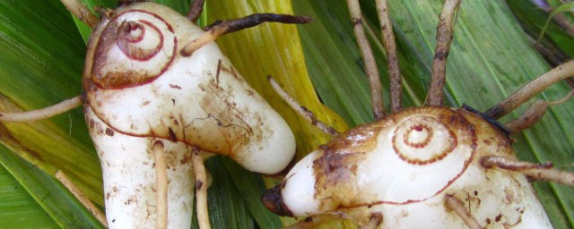 这4个不妨了解一下