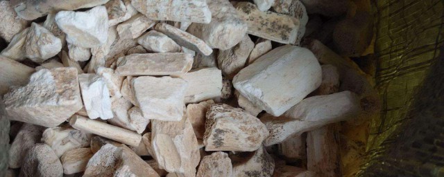 中药龙骨的药用价值是什么(中药龙骨是什么作用)