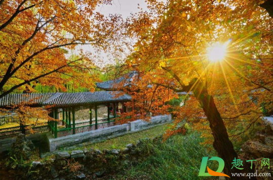 2020年秋天一共有多少天(2020年秋天的第一天是几月几日)