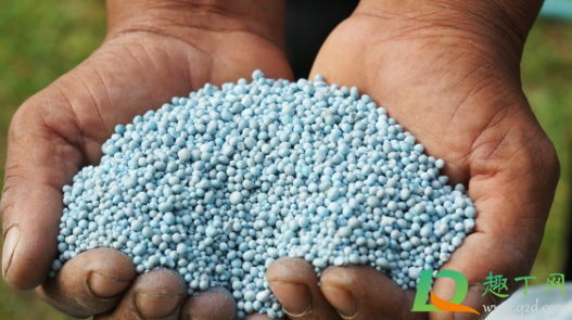 复合肥种菜可以吃吗(复合肥可以种菜吗?)