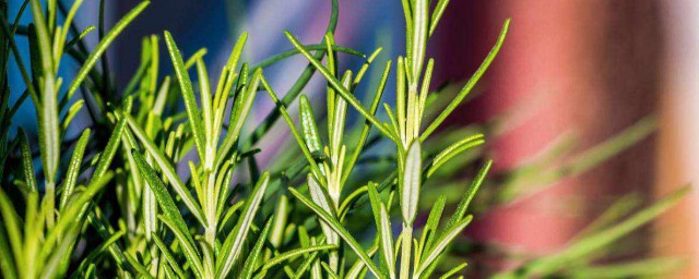 这种一定要知道(不一定知道)