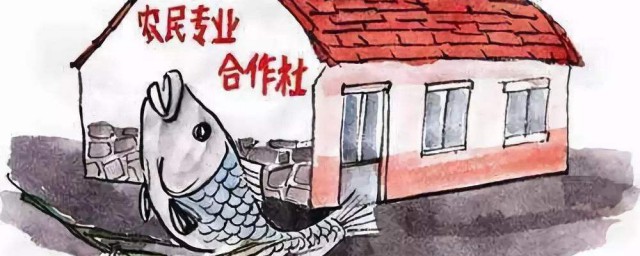 这里有超全的增报攻略快来查收