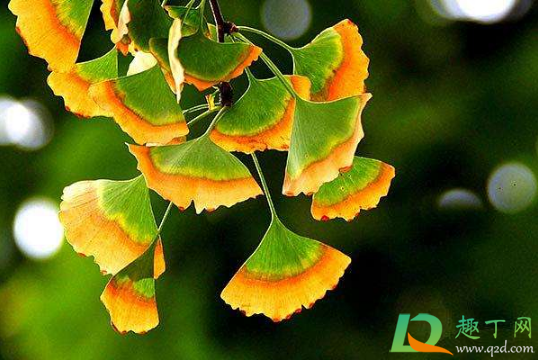 2020年秋天会比往年热么(今年2020冬天为什么这么热)