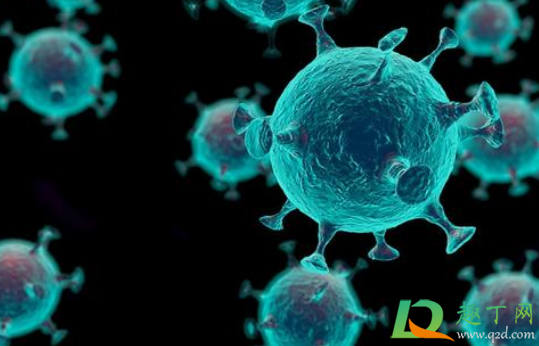 新冠病毒中和抗体能维持半年以上是真的吗(有没有人对新冠病毒有抗体)