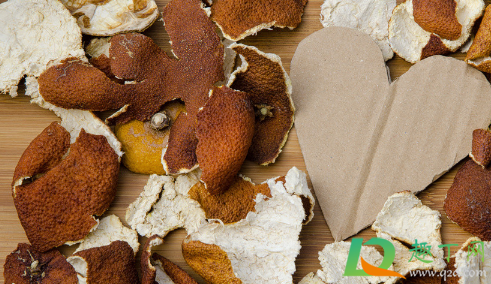 橘子皮长毛了还能吃不(橘子皮长绿毛还能吃吗)