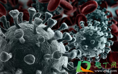 新冠疫苗打一针管多久(新冠疫苗打一针能管多久) 新冠疫苗打一针管多久(新冠疫苗打一针能管多久)