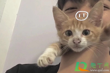 男生自宫会死吗(男生自宫是什么意思)