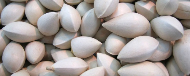 白果的食用方法有哪些(吃白果的方法有哪些)