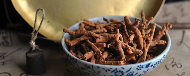 远志能治哪些病症(远志善于治疗)