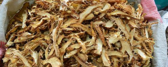 知母的功效与作用详述(知母的功能与功效)