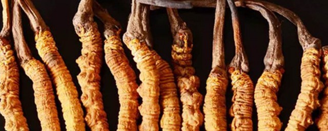 它的功效竟然这么多(它的功效怎么样)