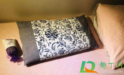 橘子皮做枕头生虫子吗(用橘子皮养的虫子)