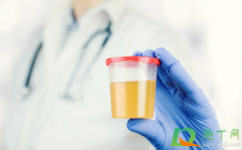 水喝的多尿是透明的正常吗(为什么喝水越多尿液越透明)