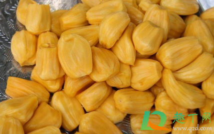 菠萝蜜软软的是熟透了还是放坏了(菠萝蜜发软了是熟了吗) 菠萝蜜软软的是熟透了还是放坏了(菠萝蜜发软了是熟了吗)