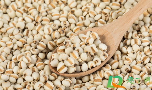 薏米怎么吃最除湿(薏米怎么吃最除湿减肥能吃红豆么)