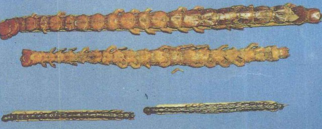 大家一起来了解(大家一起来了解下)