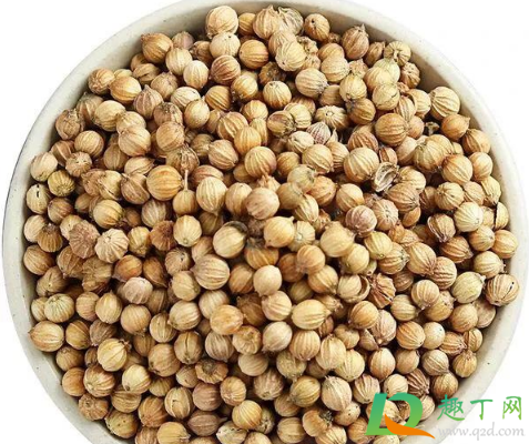 香菜种子冰箱催芽要冷藏多少天(香菜种子冷冻催芽) 香菜种子冰箱催芽要冷藏多少天(香菜种子冷冻催芽)