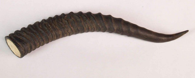 羚羊角有什么作用呢?(羚羊角的作用)