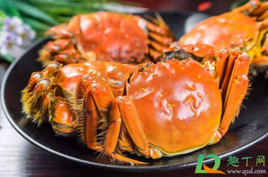 蘸螃蟹用生抽还是老抽(螃蟹可以蘸生抽吗)