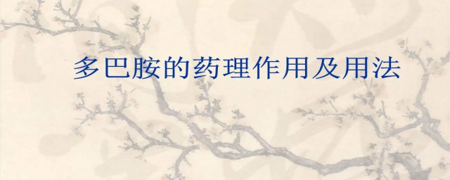 多巴胺的作用简述(多巴胺的主要功能)