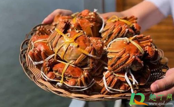 螃蟹是剪开刷还是绑着刷(拿什么刷螃蟹) 螃蟹是剪开刷还是绑着刷(拿什么刷螃蟹)