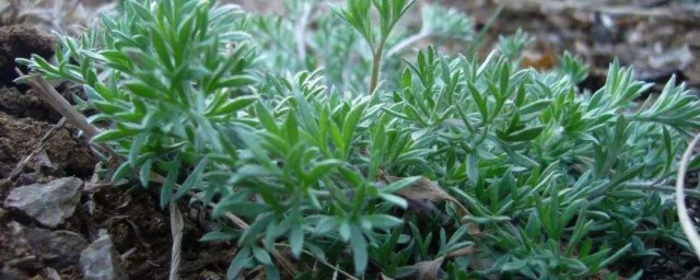 有以下几个方面(国债偿还的资金来源主要有以下几个方面)