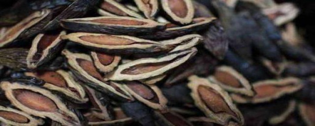 槟榔有什么用(活下去槟榔有什么用)