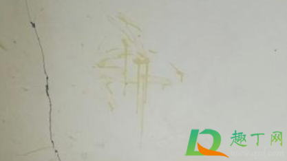 装修的墙上有钉子眼咋修补(墙壁上的钉子眼怎么办?)