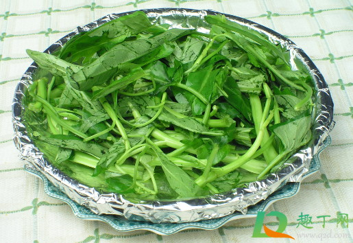 扦插的空心菜为什么长不好(空心菜怎样扦插) 扦插的空心菜为什么长不好(空心菜怎样扦插)