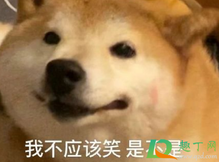 爷青回什么意思(活久见爷青回什么意思)