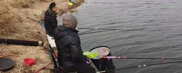 详细步骤(红烧肉的做法 详细步骤)