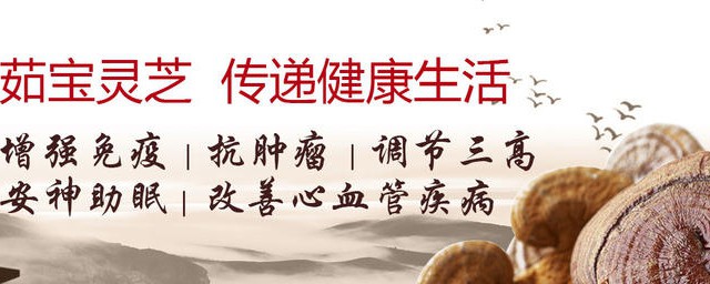 灵芝孢子粉的临床效果(灵芝孢子粉的治疗效果)