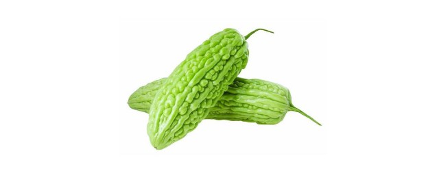 苦瓜的简单介绍(苦瓜主要内容)