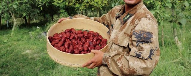 补血养神(养血安神片价格)