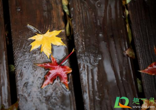 2020年秋天雨水怎么样(2020年春季雨量如何) 2020年秋天雨水怎么样(2020年春季雨量如何)