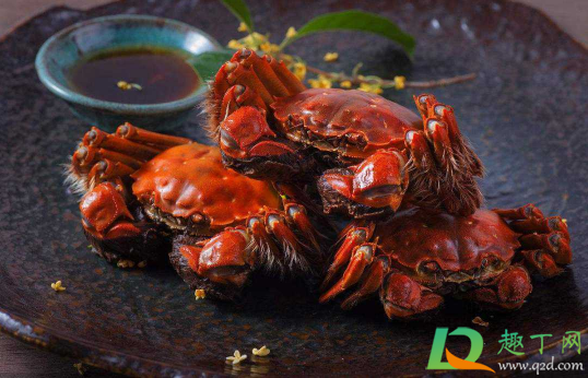 蒸螃蟹紫苏包和生姜能同时放吗(紫苏包可以和螃蟹一起煮吗)