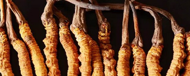 快来这里了解下它的具体功效(这些的作用与功效)