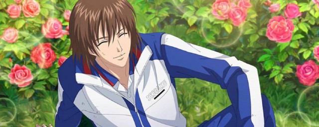 网球王子的简介信息(网球王子主要人物简介)