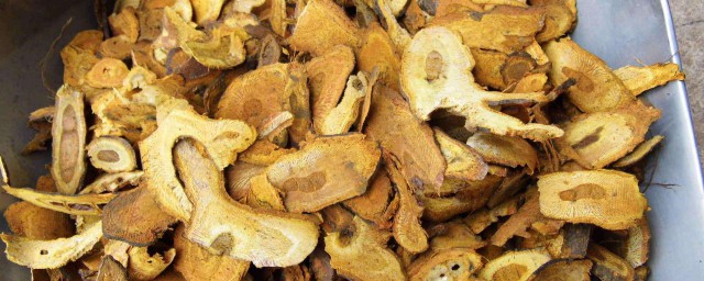 虎杖的药用作用有哪些(虎杖的药性和功效)