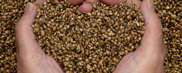 可以怎么用呢(怎怎么可以用)